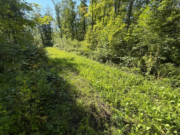 $479,000 | Xxx 60th Avenue, Wahkon, MN 56386