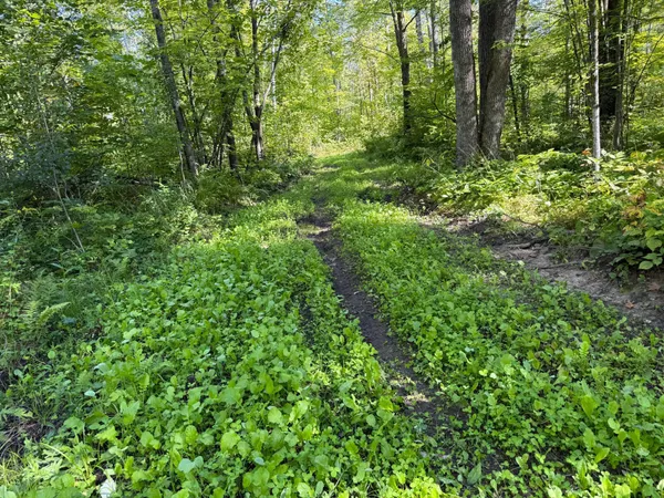 $479,000 | Xxx 60th Avenue, Wahkon, MN 56386