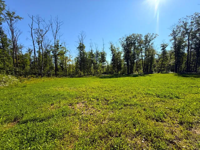 $479,000 | Xxx 60th Avenue, Wahkon, MN 56386