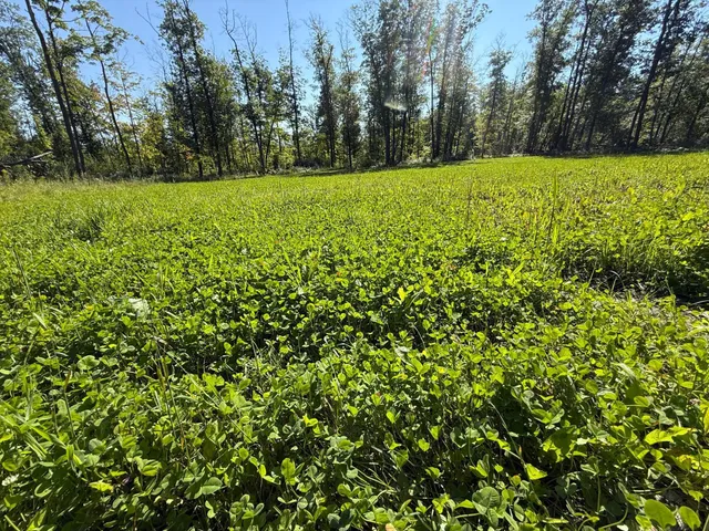 $479,000 | Xxx 60th Avenue, Wahkon, MN 56386