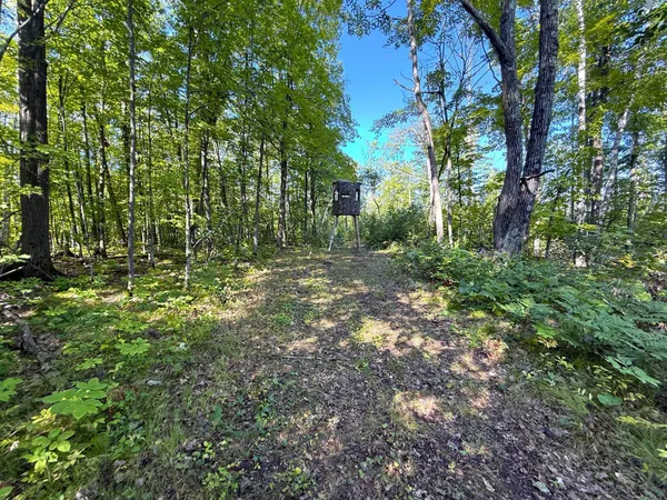 $479,000 | Xxx 60th Avenue, Wahkon, MN 56386
