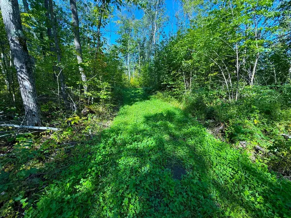 $479,000 | Xxx 60th Avenue, Wahkon, MN 56386