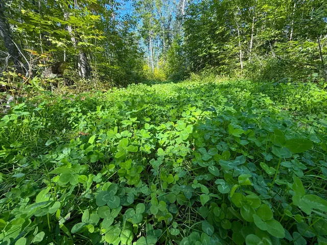 $479,000 | Xxx 60th Avenue, Wahkon, MN 56386