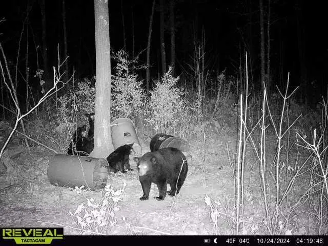 $479,000 | Xxx 60th Avenue, Wahkon, MN 56386