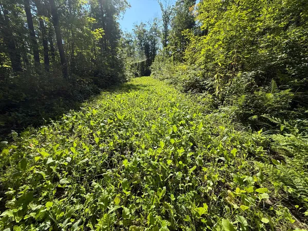 $479,000 | Xxx 60th Avenue, Wahkon, MN 56386