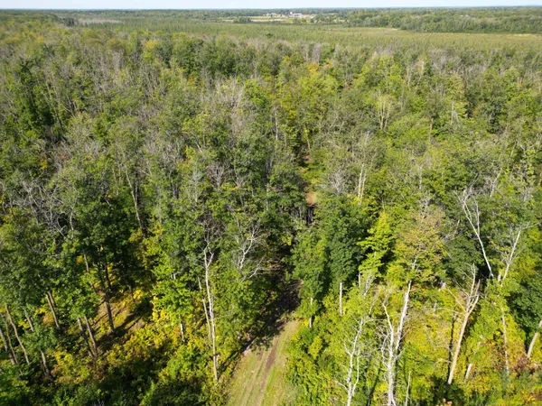 $479,000 | Xxx 60th Avenue, Wahkon, MN 56386