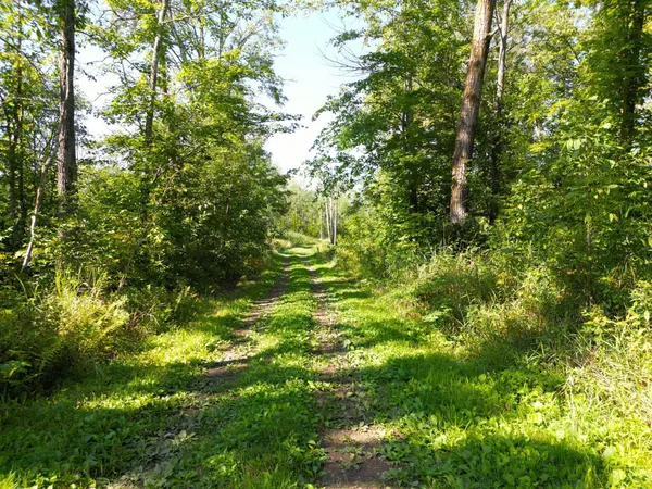 $479,000 | Xxx 60th Avenue, Wahkon, MN 56386