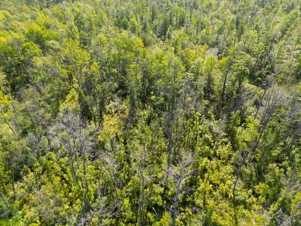$479,000 | Xxx 60th Avenue, Wahkon, MN 56386