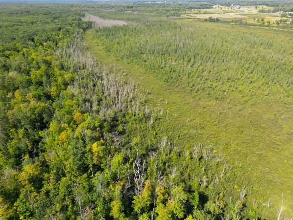 $479,000 | Xxx 60th Avenue, Wahkon, MN 56386