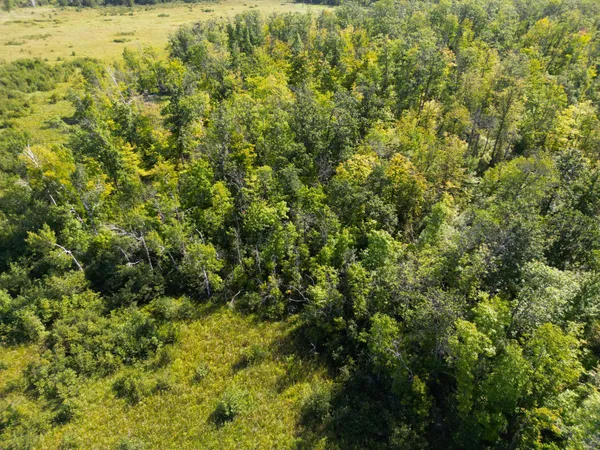 $479,000 | Xxx 60th Avenue, Wahkon, MN 56386