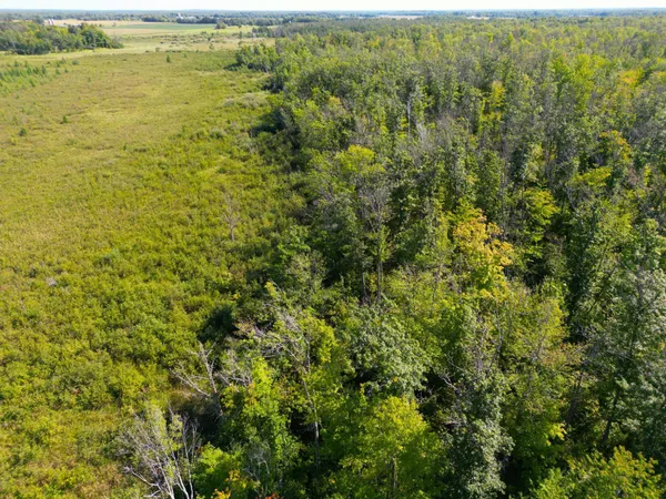 $479,000 | Xxx 60th Avenue, Wahkon, MN 56386