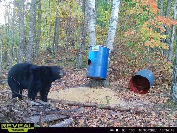 $479,000 | Xxx 60th Avenue, Wahkon, MN 56386