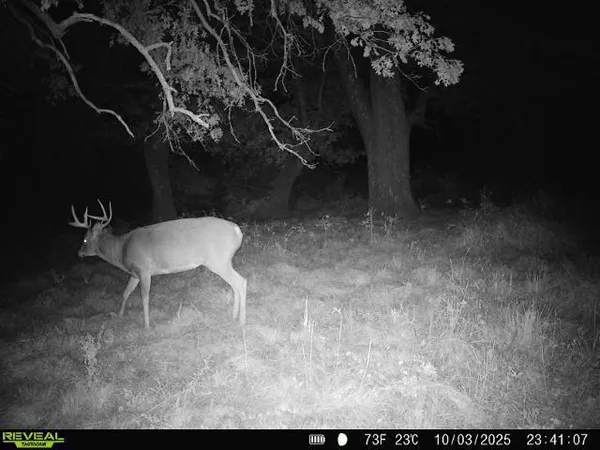 $479,000 | Xxx 60th Avenue, Wahkon, MN 56386