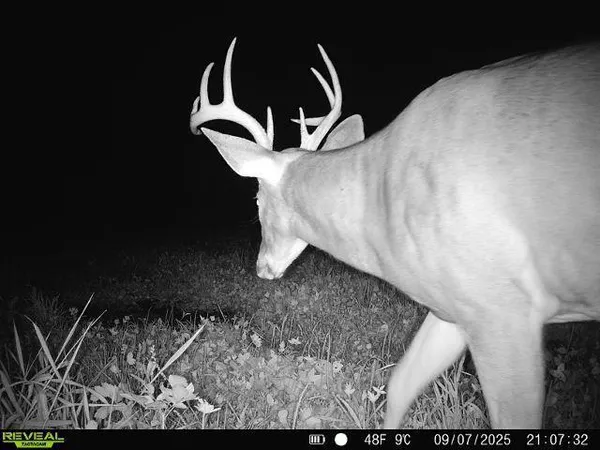 $479,000 | Xxx 60th Avenue, Wahkon, MN 56386