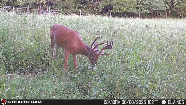 $479,000 | Xxx 60th Avenue, Wahkon, MN 56386