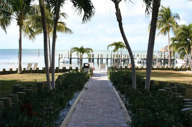 a view of a lake with boats and palm trees