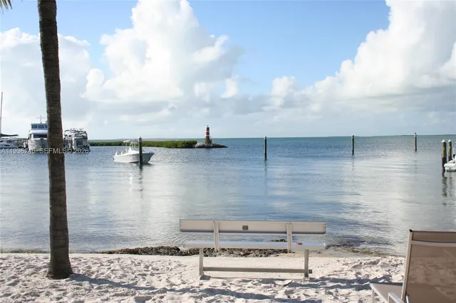 a view of a palm trees
