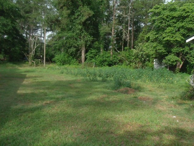 1723 Boneville Road Dearing, GA 30808 - Photo 13 of 15 Backyard