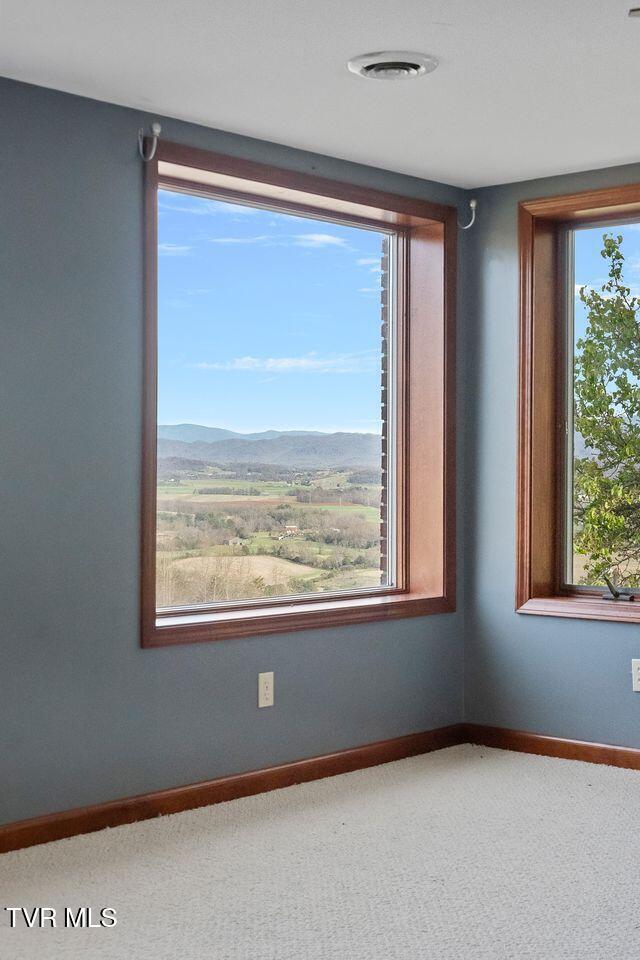 449 Chuckey Overlook Chuckey, TN 37641 - Photo 29 of 88 RlTGkeGg