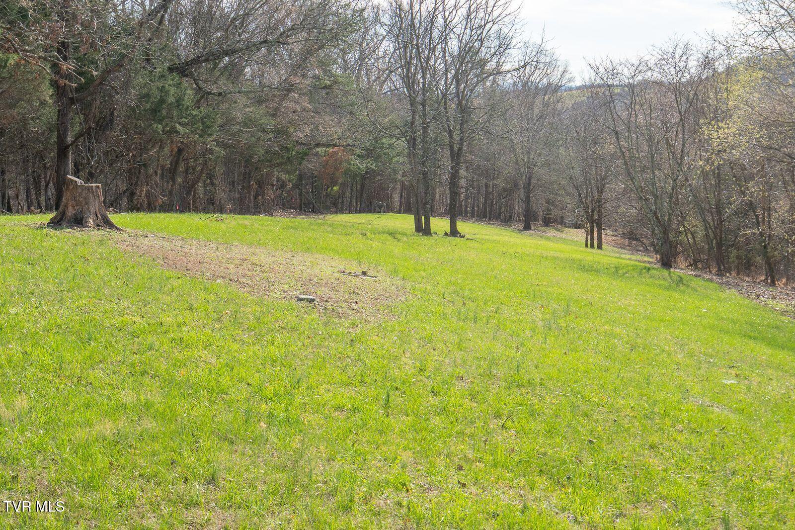 449 Chuckey Overlook Chuckey, TN 37641 - Photo 55 of 90 3Je3pVeg