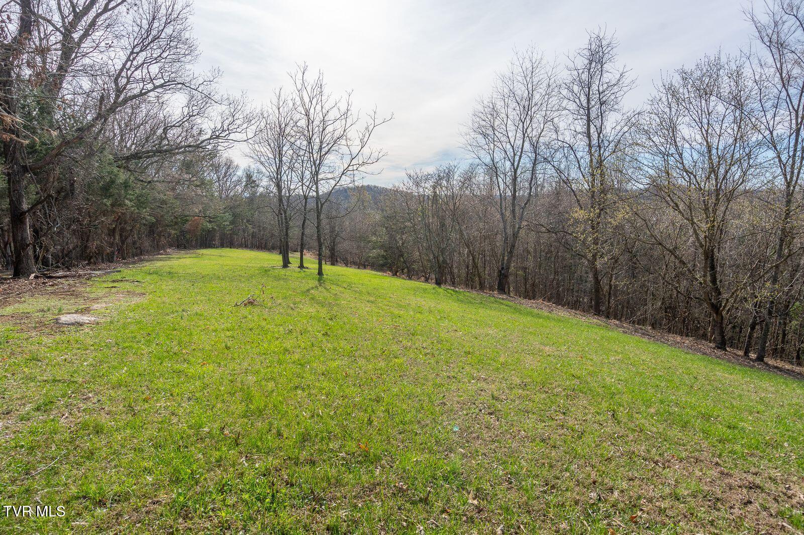 449 Chuckey Overlook Chuckey, TN 37641 - Photo 58 of 90 a-_lk31A