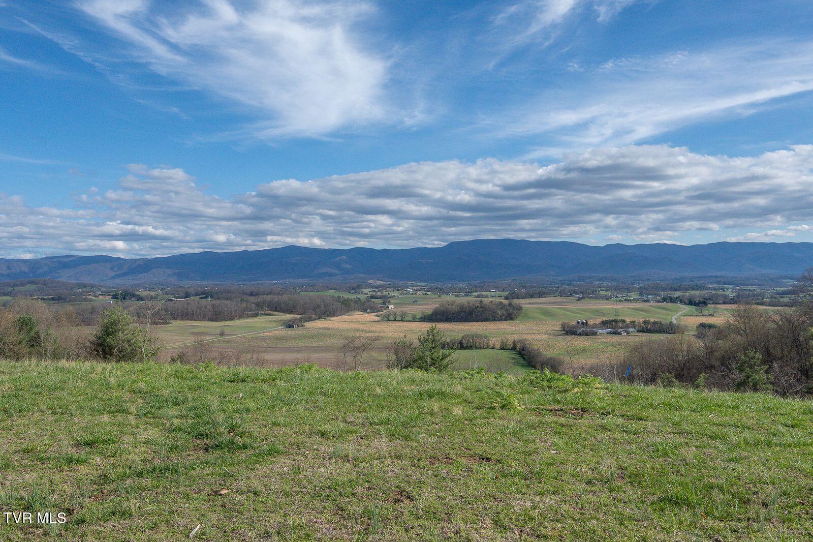 449 Chuckey Overlook Chuckey, TN 37641 - Photo 58 of 88 5AhVwpjA