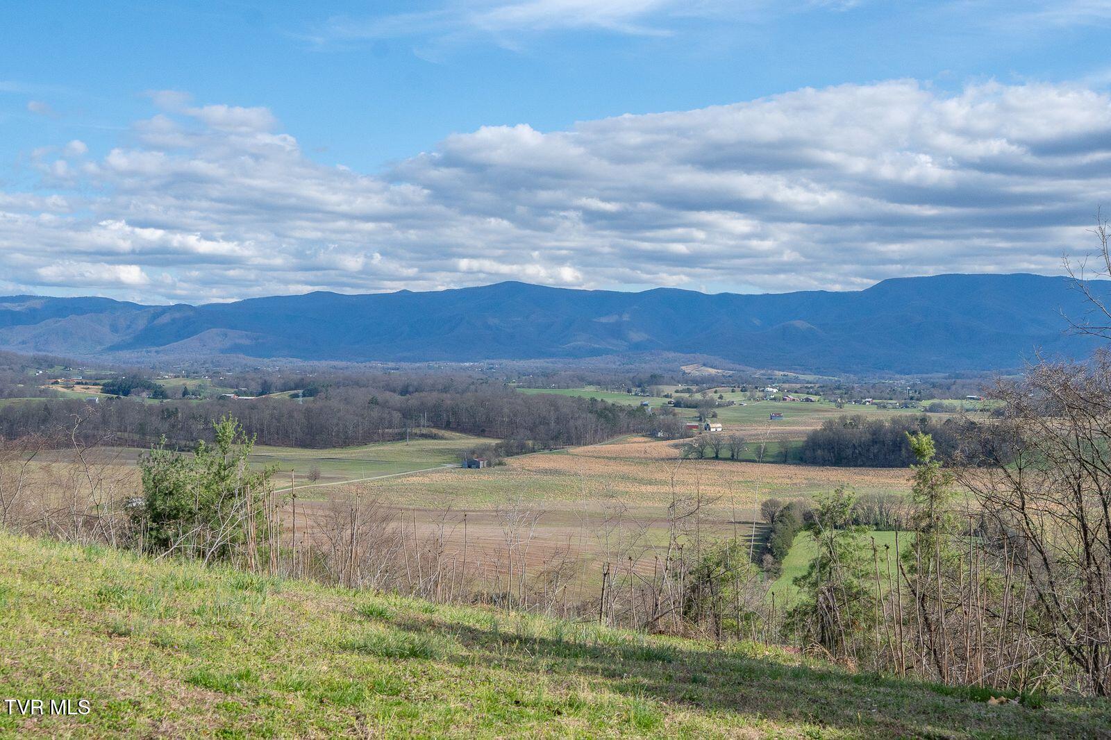 449 Chuckey Overlook Chuckey, TN 37641 - Photo 64 of 90 gf63jPxQ