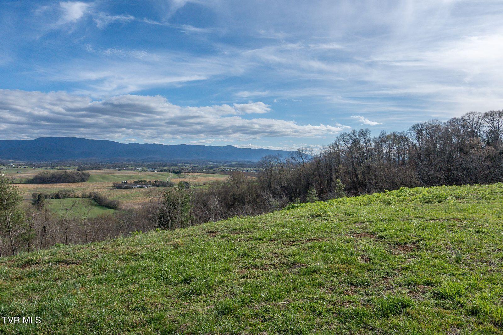 449 Chuckey Overlook Chuckey, TN 37641 - Photo 67 of 90 Mqcx1_9A