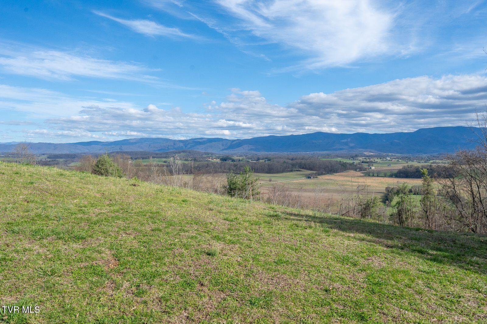449 Chuckey Overlook Chuckey, TN 37641 - Photo 70 of 88 GUsYTK2A