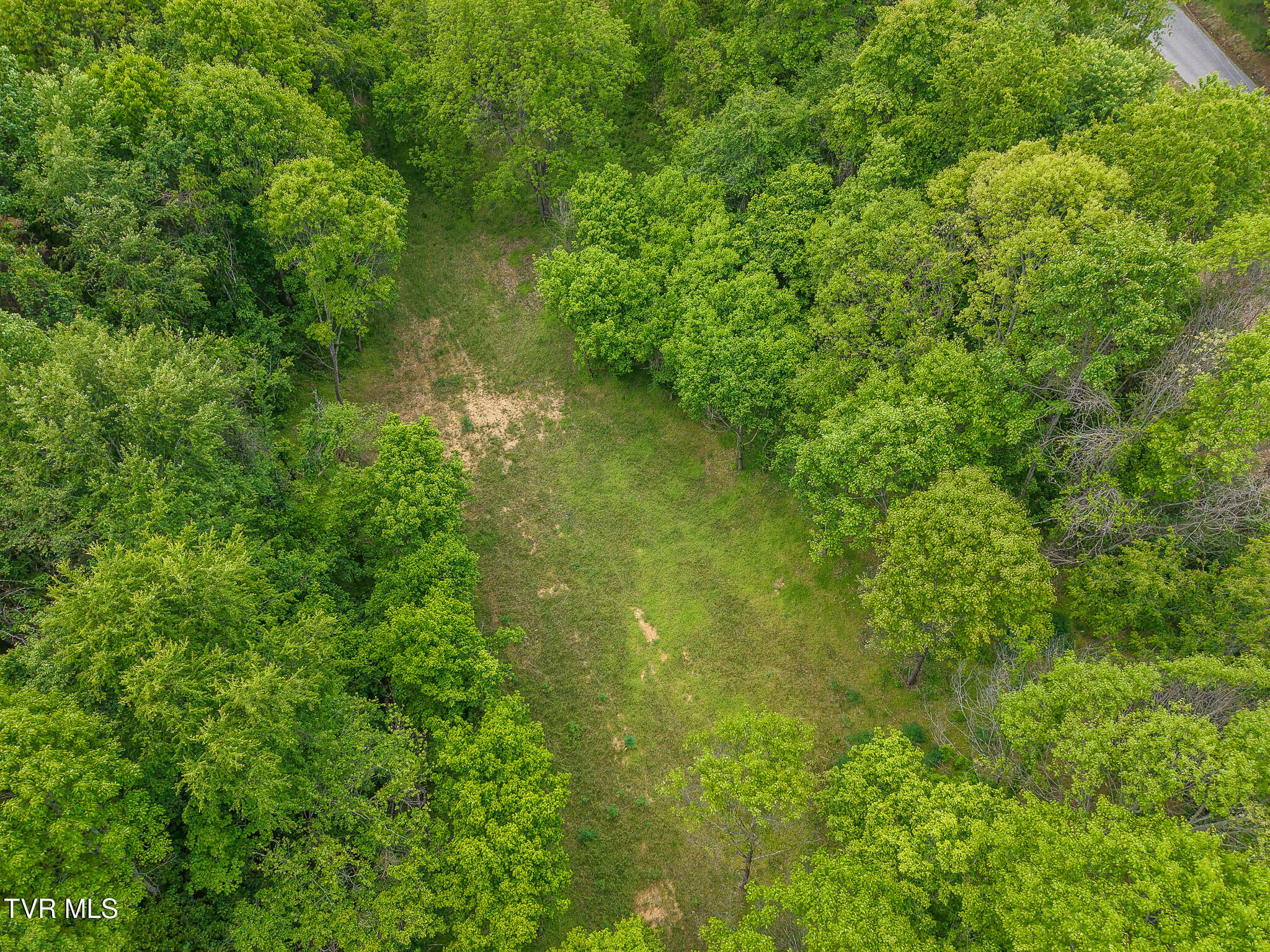 449 Chuckey Overlook Chuckey, TN 37641 - Photo 82 of 90 Chuckey 5