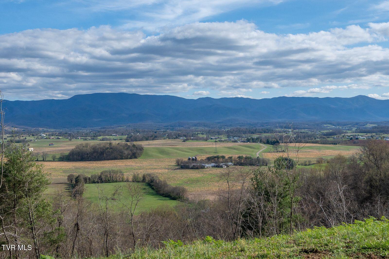 449 Chuckey Overlook Chuckey, TN 37641 - Photo 84 of 88 TrSRMZQA