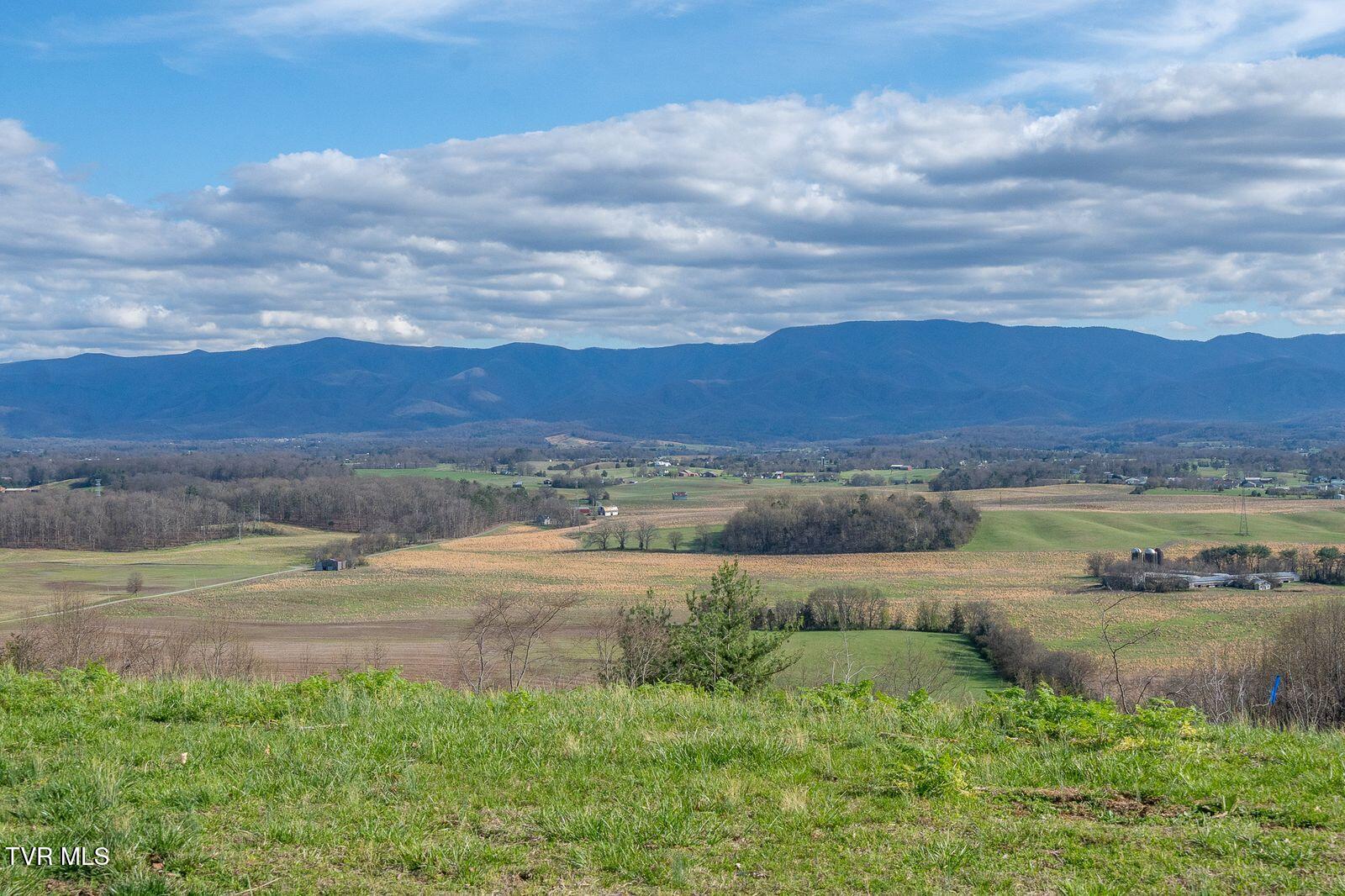 449 Chuckey Overlook Chuckey, TN 37641 - Photo 86 of 88 U_s4UWMw
