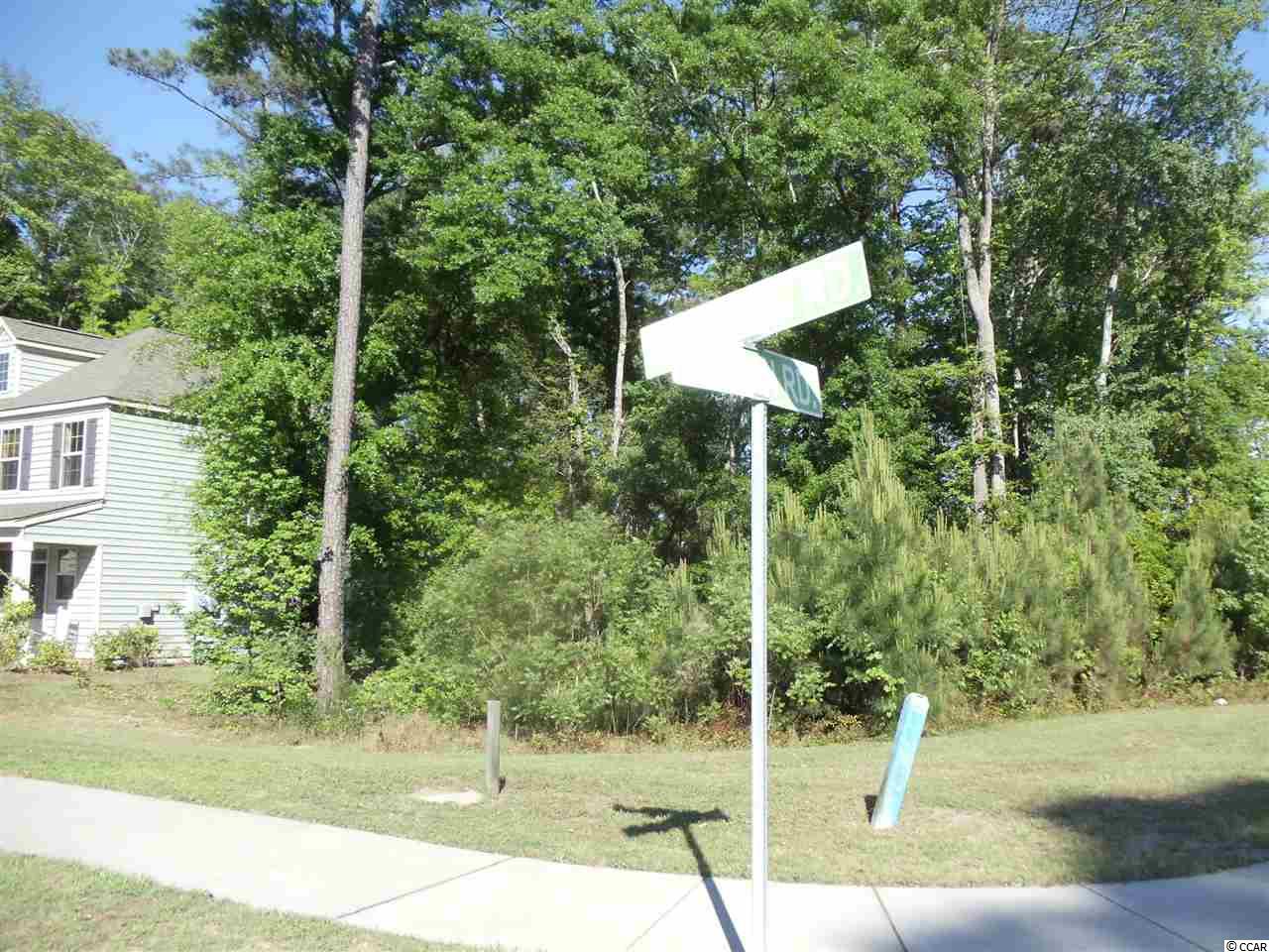 Lot 45 Dunning Road Pawleys Island, SC 29585 - Photo 1 of 3 Gallery Image 1