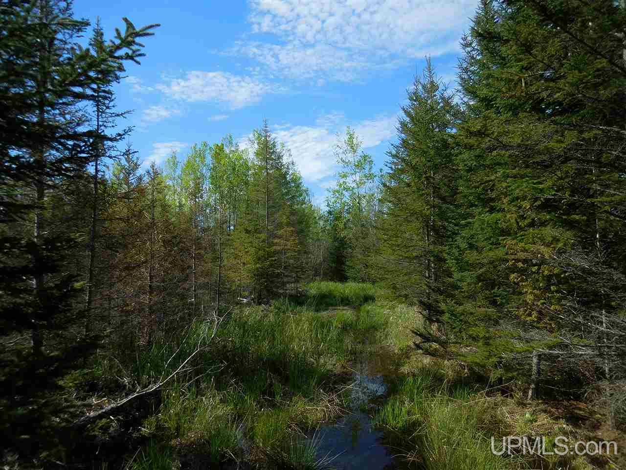 1480 Acres On Co Road Manistique, MI 49854 - Photo 29 of 49