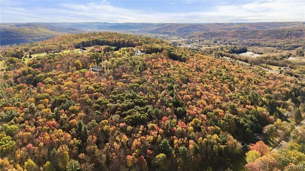 $12,950,000 | 15 Meadowood Lane, Chenango, NY 13901