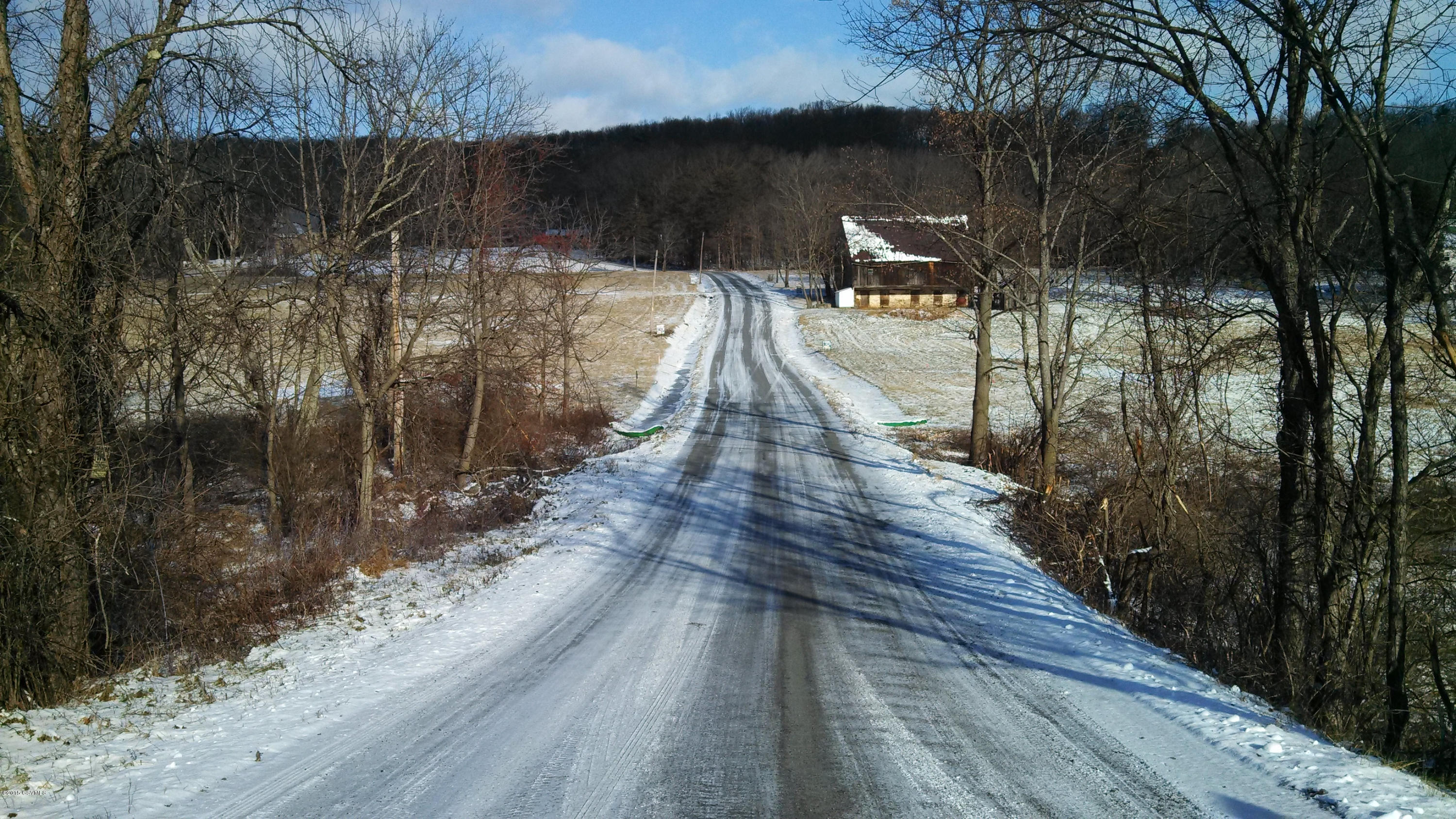 Lot No Lot Road Paxinos, PA 17860 - Photo 6 of 7 Gallery Image 6