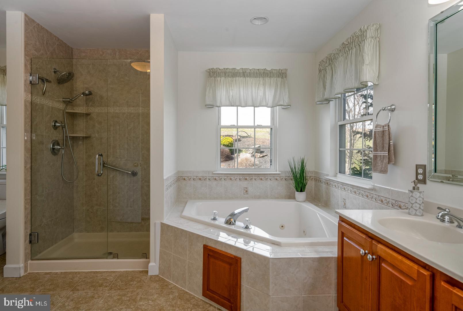 382 Tilden Road Mohrsville, PA 19541 - Photo 19 of 34 a bathroom with a tub sink and shower