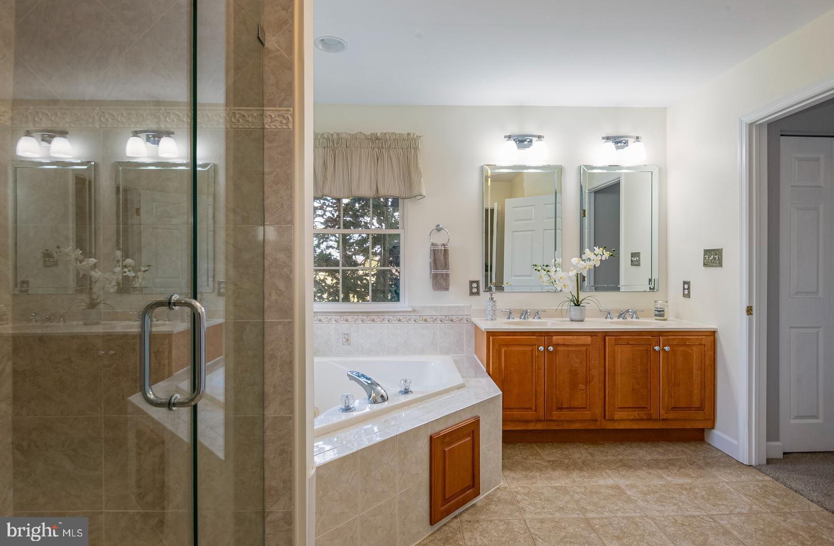 382 Tilden Road Mohrsville, PA 19541 - Photo 20 of 34 a bathroom with a tub sink and mirror