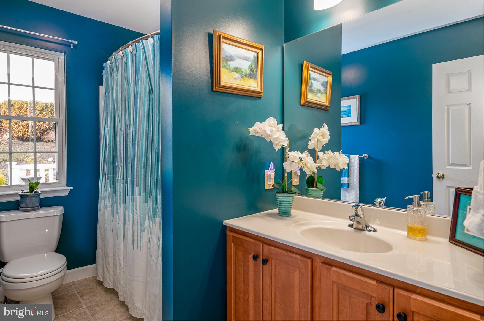 382 Tilden Road Mohrsville, PA 19541 - Photo 23 of 34 a bathroom with a sink and a mirror