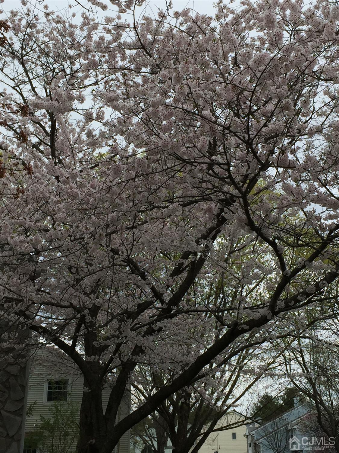 7 Jeffrey Circle Dayton, NJ 08810 - Photo 21 of 21