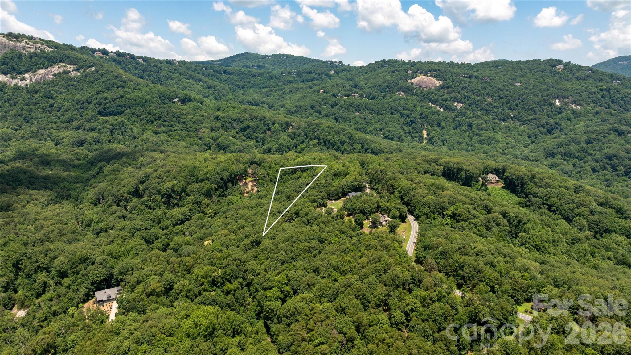 Lot 22 Plumley Summit Road, Unit 22 Landrum, SC 29356 - Photo 9 of 27