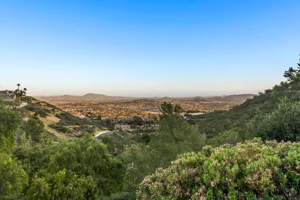 an aerial view of forest