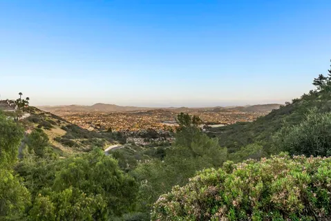an aerial view of forest