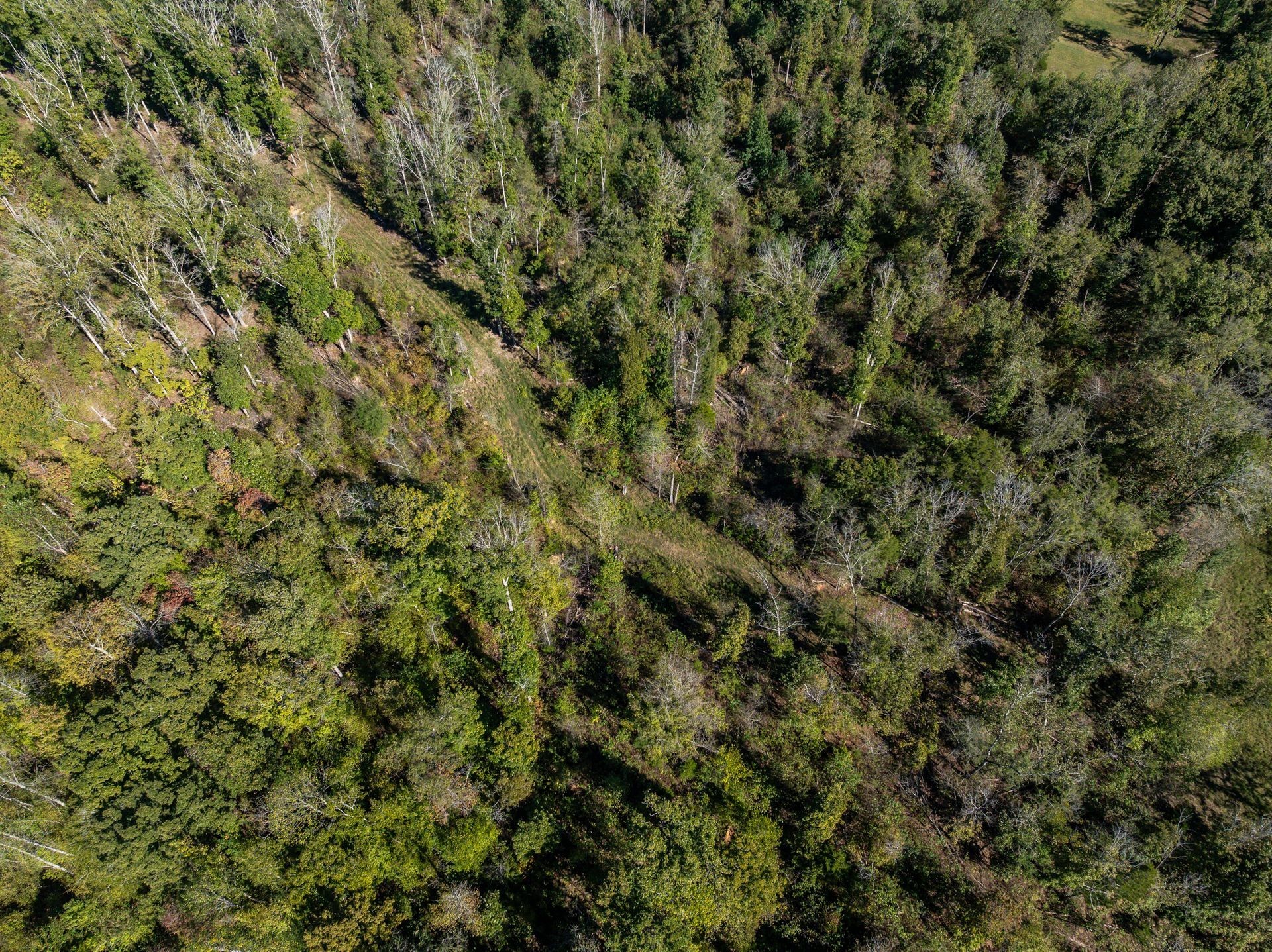 2743 Mouse Tail Road Parsons, TN 38363 - Photo 66 of 77