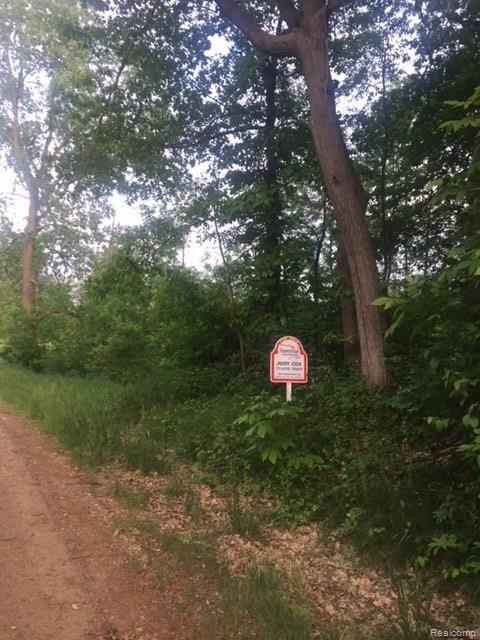 V/l Cole Road Linden, MI 48451 - Photo 9 of 12