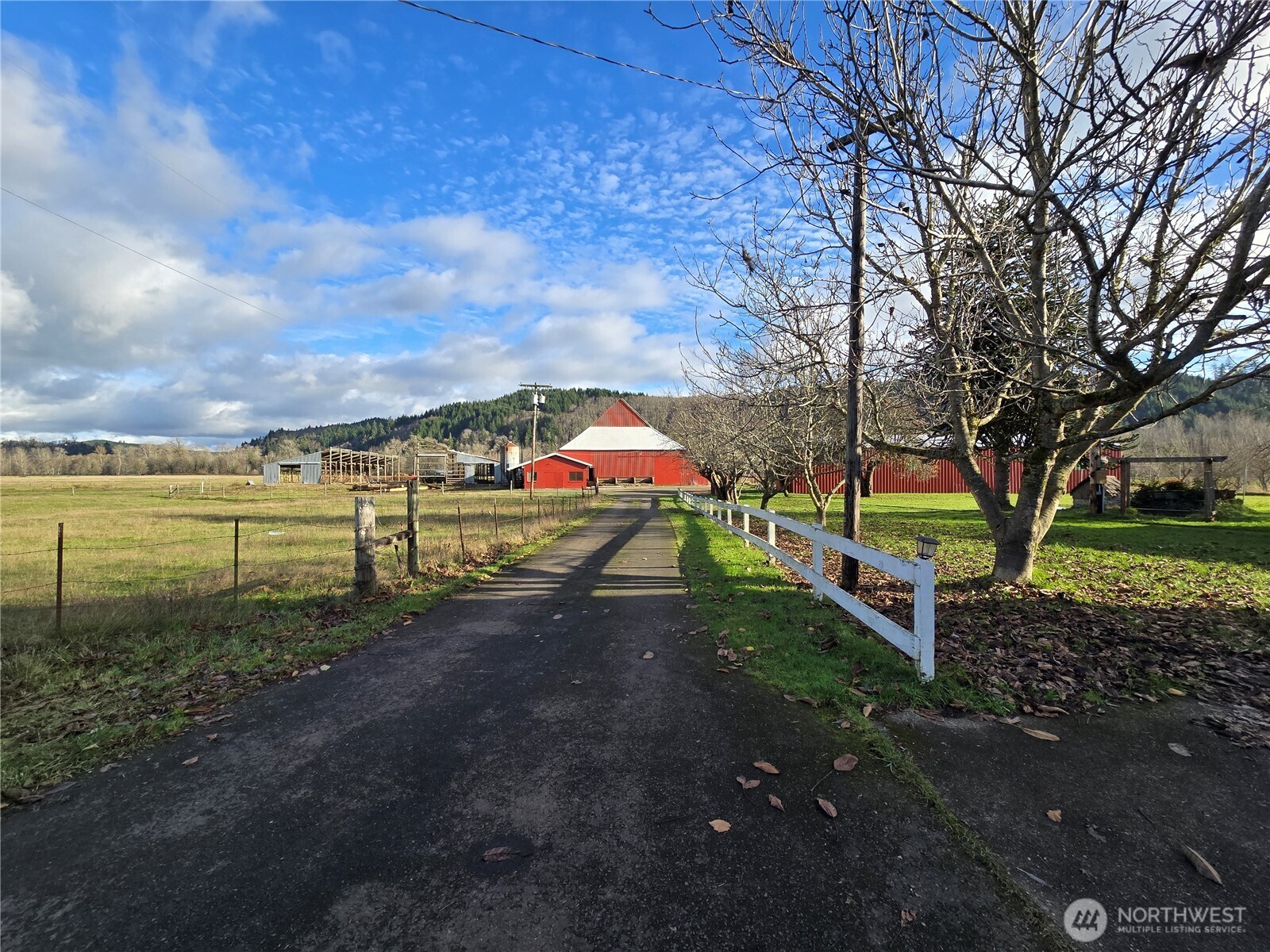 912 Middle Satsop Road Montesano, WA 98563 - Photo 13 of 36 a view of a park with large trees