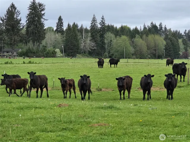 a view of a green field