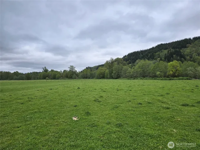 a view of a big yard with a house in the background