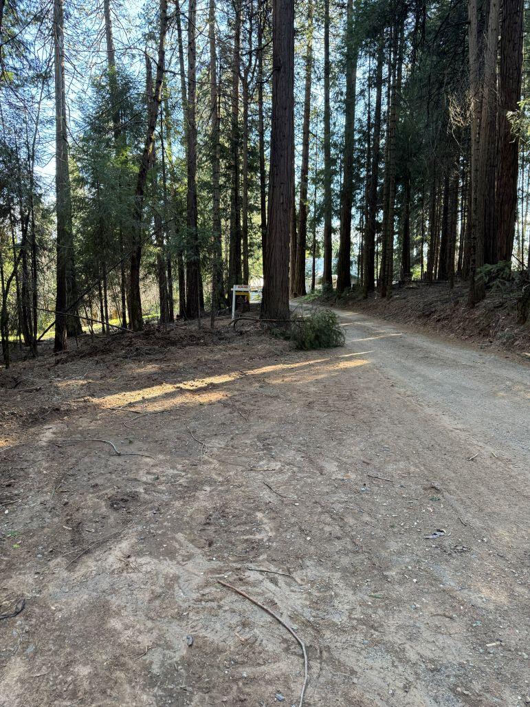 0 Caine Road Alta, CA 95701 - Photo 8 of 10 View from the last turnout looking along the front of the parcel at Caine Road.