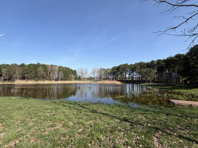6301 South Stiles Road Pentwater, MI 49449 - Photo 36 of 41 IMG_4452